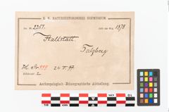 Foto von Bronzedrahtfußring (NHMW-PRAE-002251)